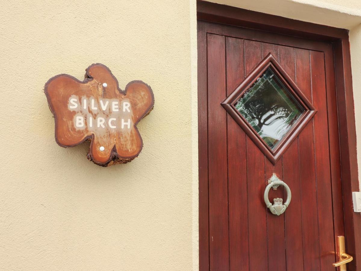 Silver Birch Cuar an Chláir Exterior foto